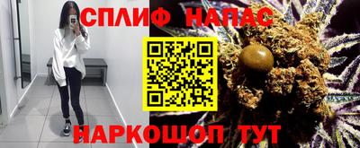 Альфа ПВП Новозыбков