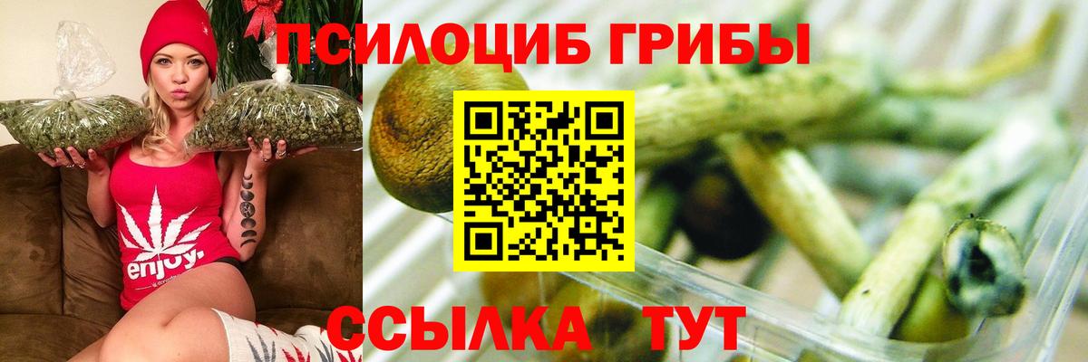 Псилоцибиновые грибы Magic Shrooms Сунжа