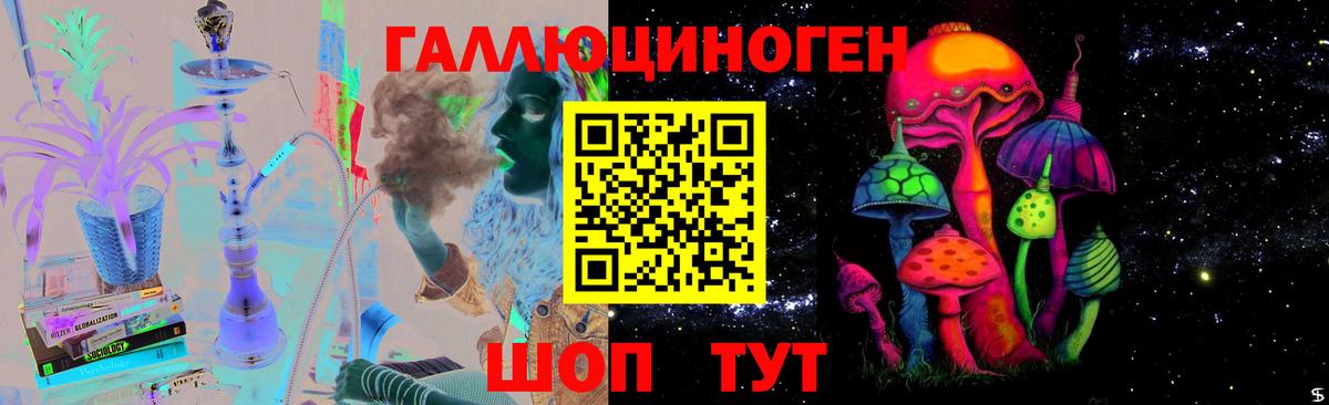 купить наркотики цена  Псилоцибиновые грибы Psilocybine cubensis  Сунжа  Вход с VPN  Галлюциногенные грибы мицелий 